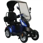 For-Motion-City-Cruiser-goedkope.webp