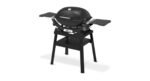 Weber-Q-2200N-met-stand.jpg