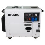 dhy6000se-generador-diesel-pro-monofasico-5kw-insonorizado.jpg